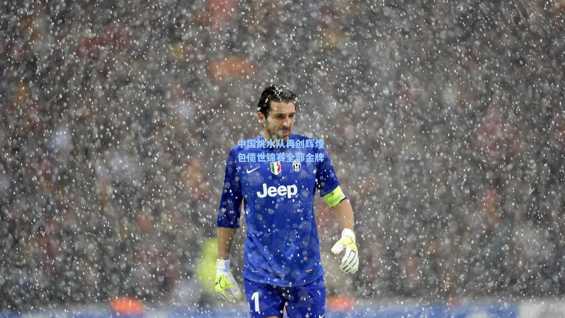 中国跳水队再创辉煌,包揽世锦赛全部金牌